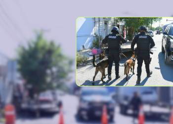 Participa-Policia-de-Monterrey-en-cateo-junto-a-Guardia-Nacional-y-Fiscalia-encuentran-drogas-y-armas