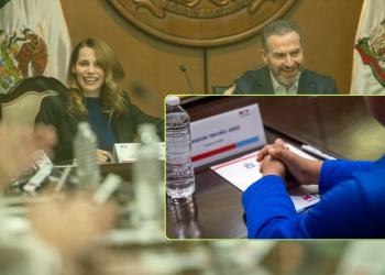 Tercera-Sesion-del-SIPINNA