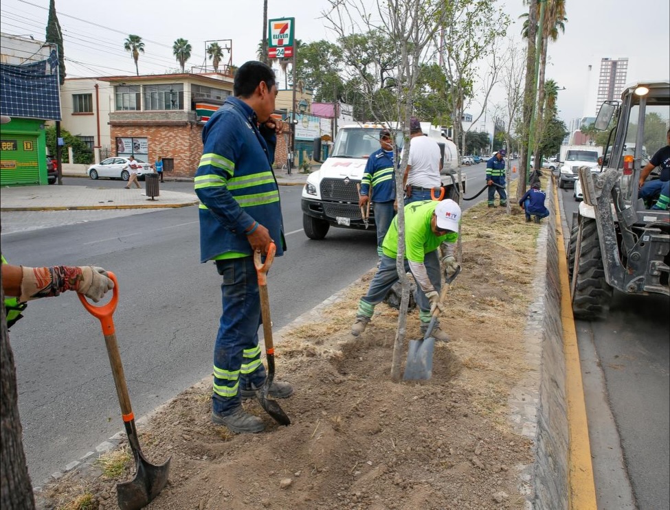 arborización-de-calzada-madero-con-árboles-nativos-infraestructura-verde