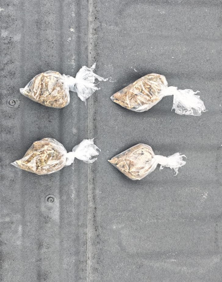 WhatsApp Image 2025-12-17 at 90307 AM 1 - Punto Critico detención-en-la-colonia-mitras-policía-de-monterrey