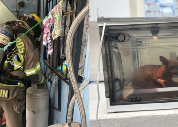 escobedo - Punto Critico Explosión De Tanque De Gas Deja Familia Y Mascota Lesionadas En Escobedo