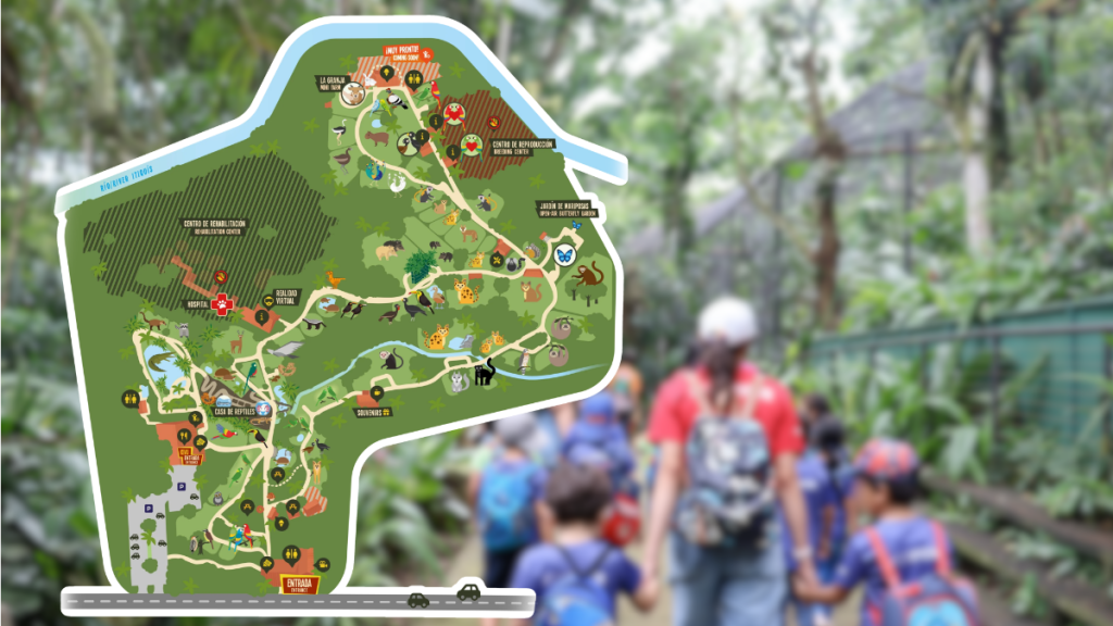 - Punto Critico rescate-de-animales-silvestres-hospital-fauna-silvestre-centro-rescate-Costa-Rica